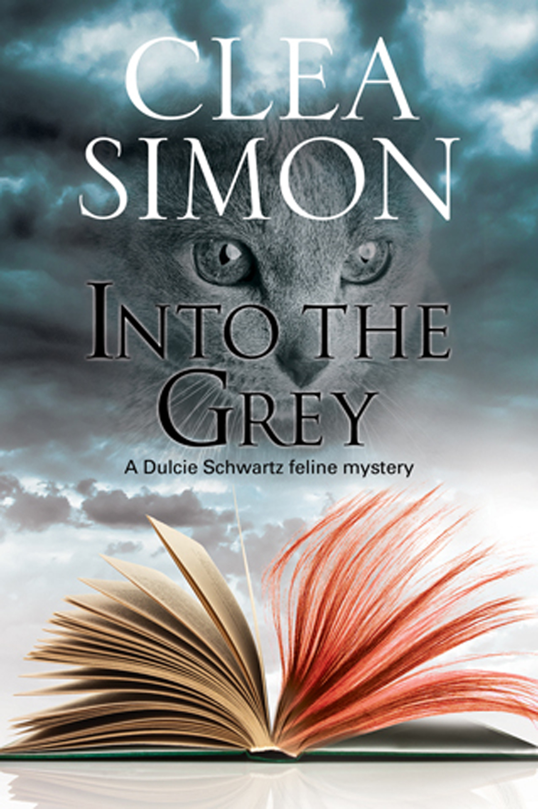 Into The Grey Dulcie Schwartz 1 Clea Simon