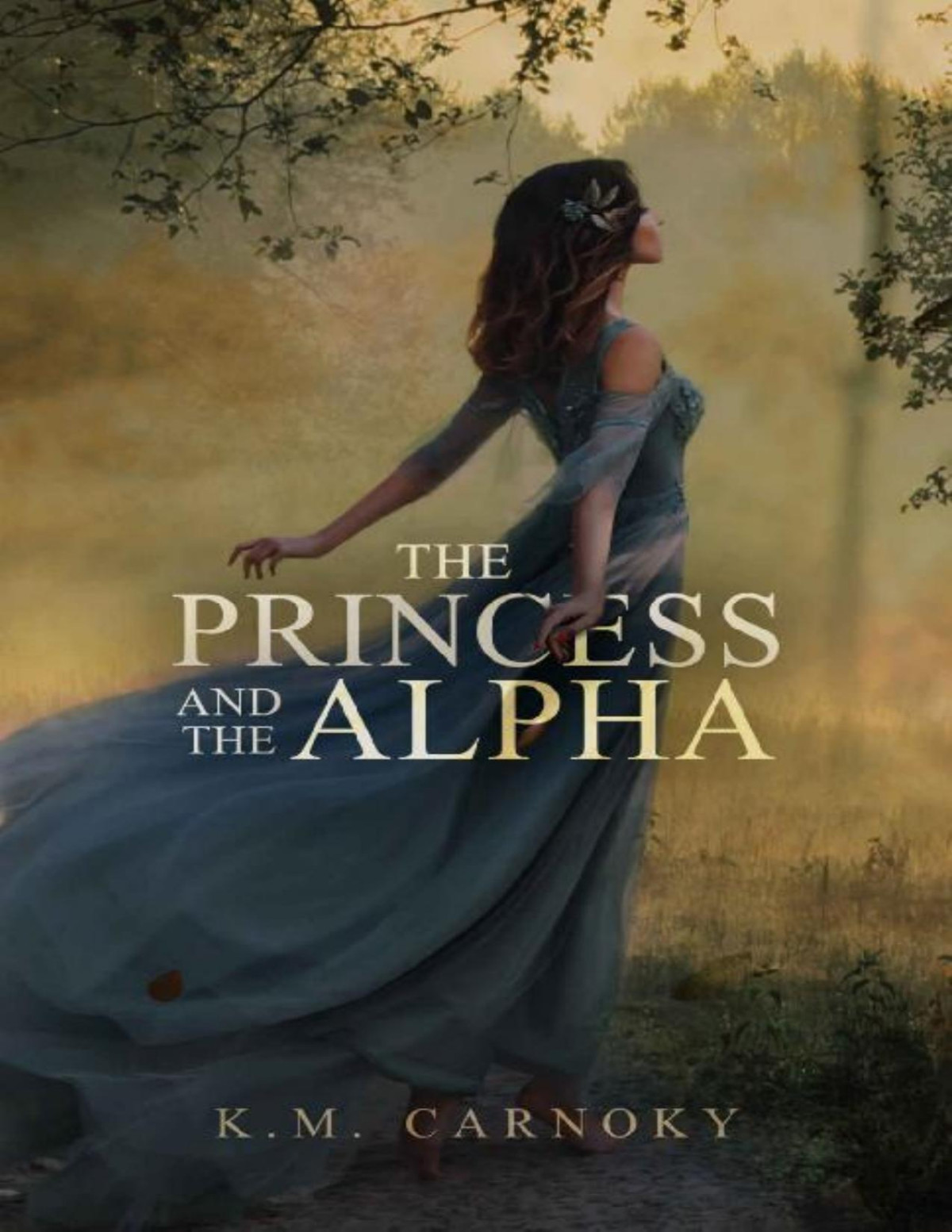 The Princess And The Alpha A Shifter Romance Km Carnoky