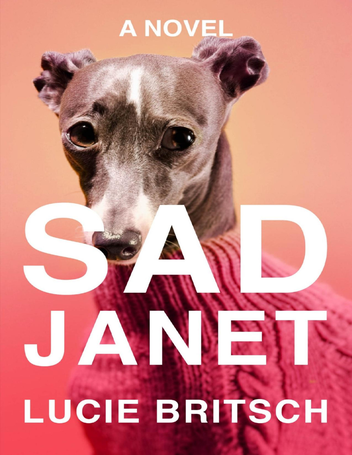 Sad Janet A Novel Lucie Britsch