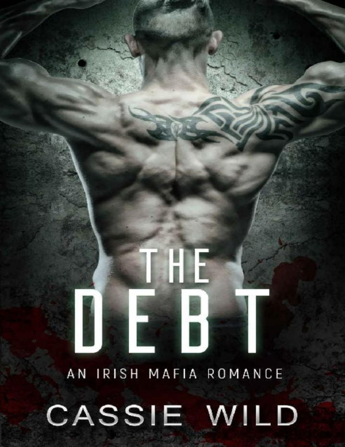 The Debt An Irish Mafia Romance Downing Family Book 2 Cassie Wild