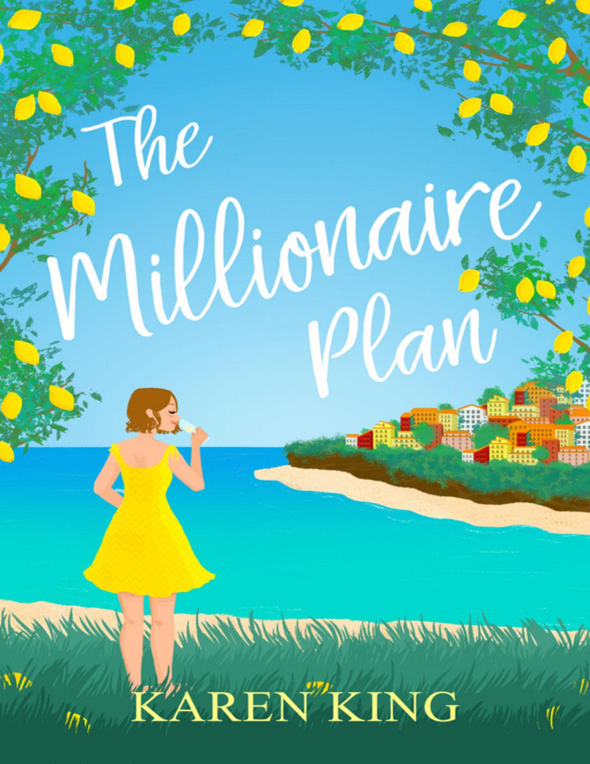 The Millionaire Plan Karen King