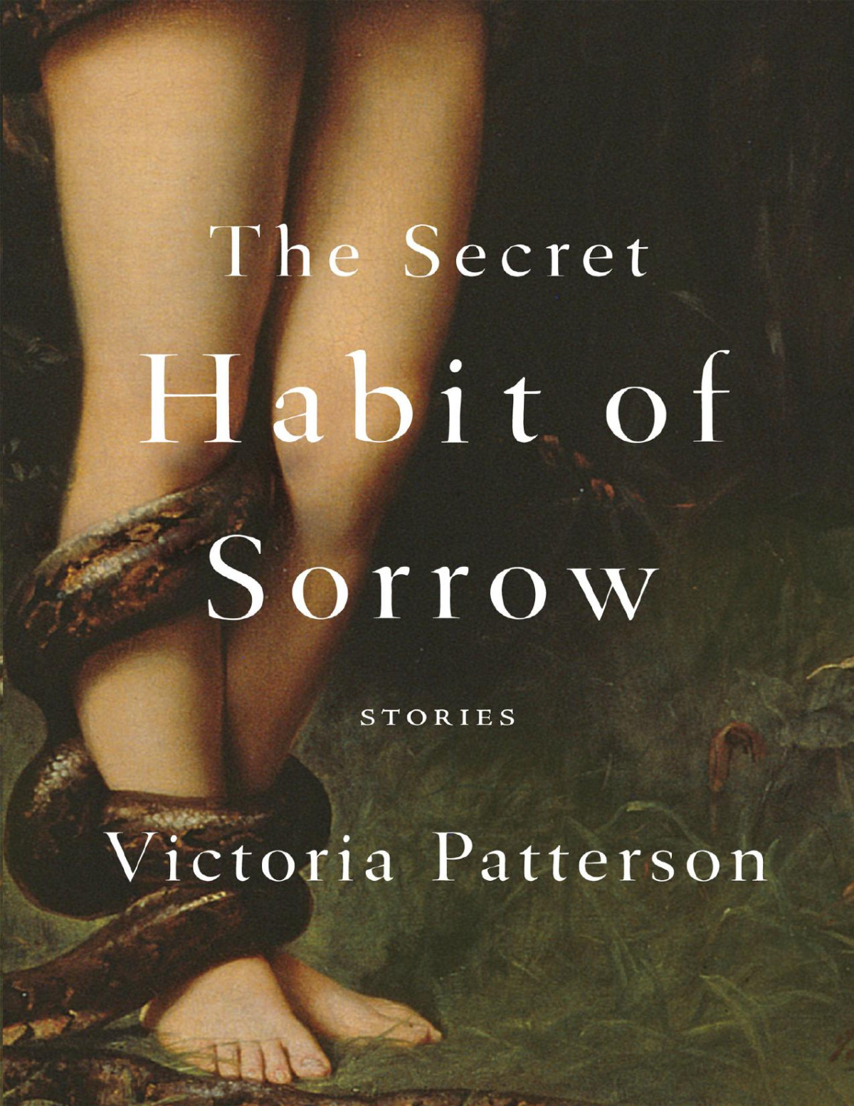 The Secret Habit Of Sorrow Victoria Patterson