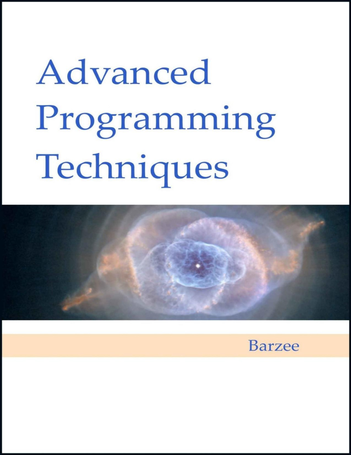 Advanced Programming Techniques Rex A Barzee