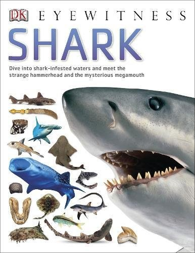 Eyewitness Shark Kindersley Dorling Miranda Macquitty