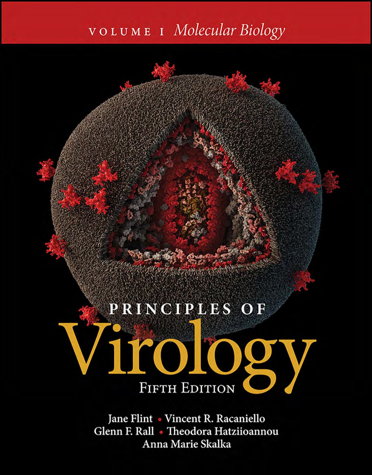 Principles Of Virology 5th Edition 5th Edition Jane Flint Vincent R Racaniello