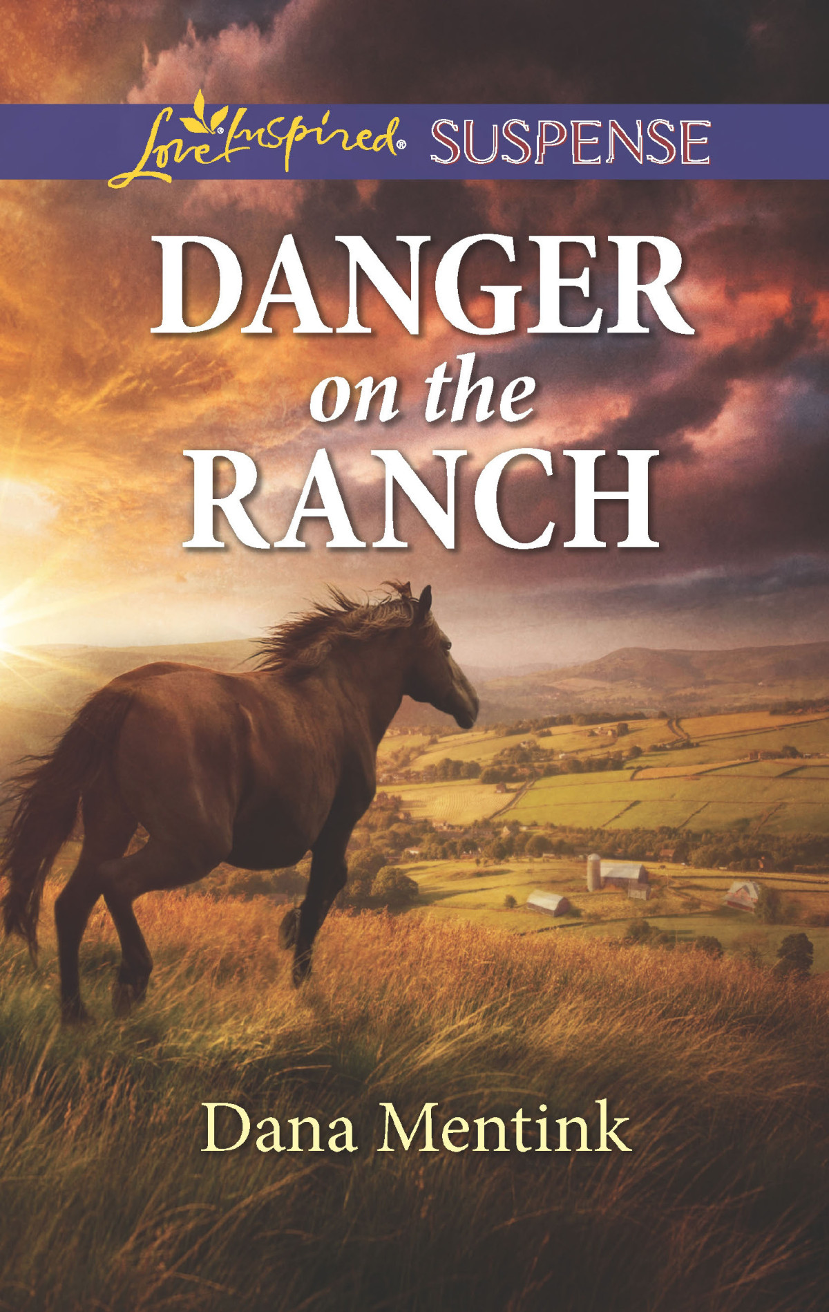 Danger On The Ranch Dana Mentink