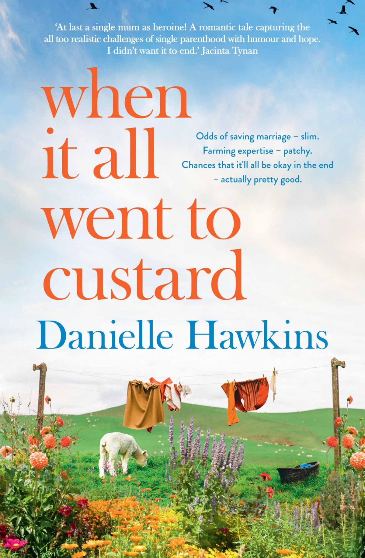 When It All Went To Custard Danielle Hawkins