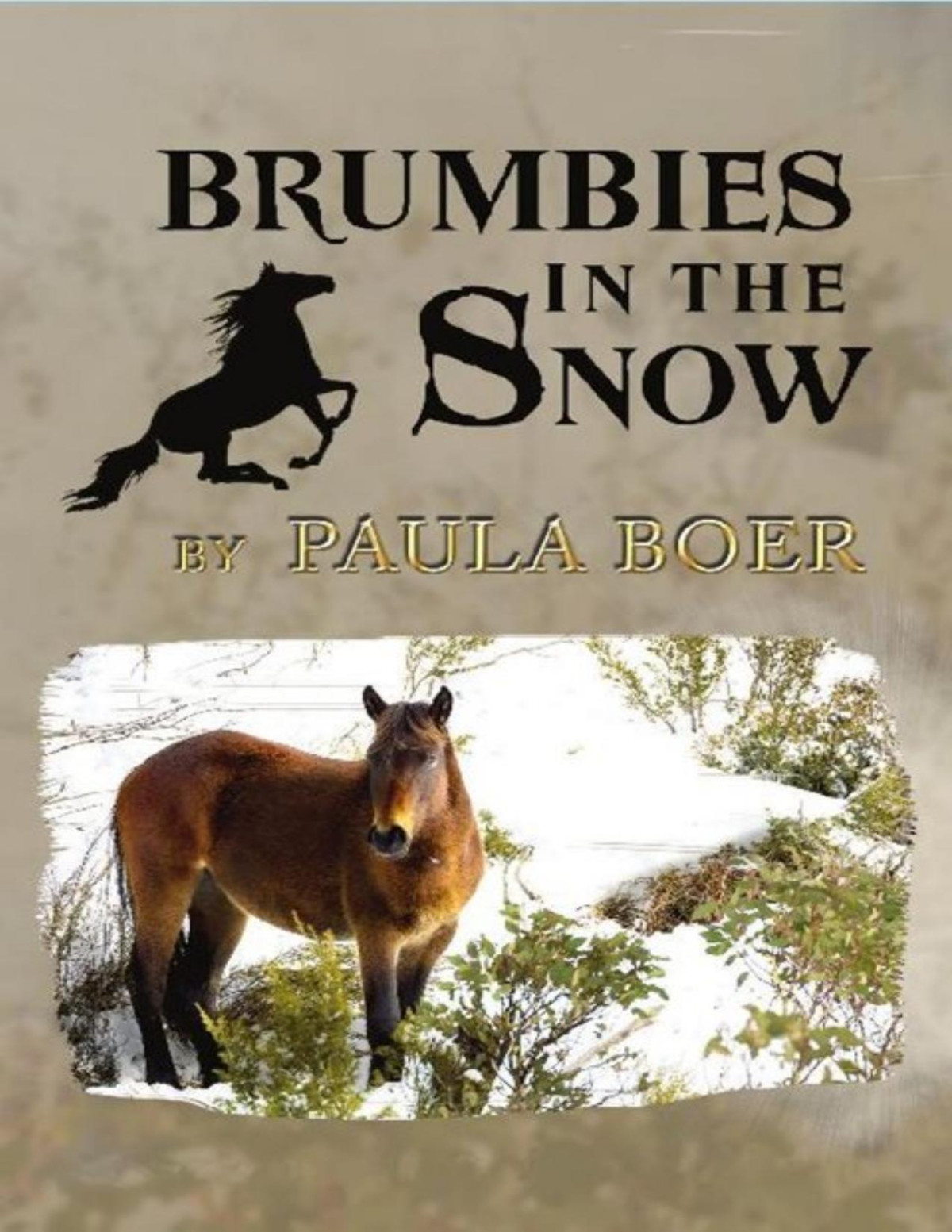 Brumbies In The Snow Paula Boer