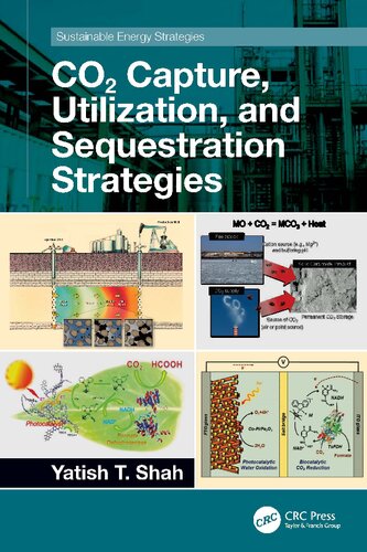 Co2 Capture Utilization And Sequestration Strategies Yatish T Shah