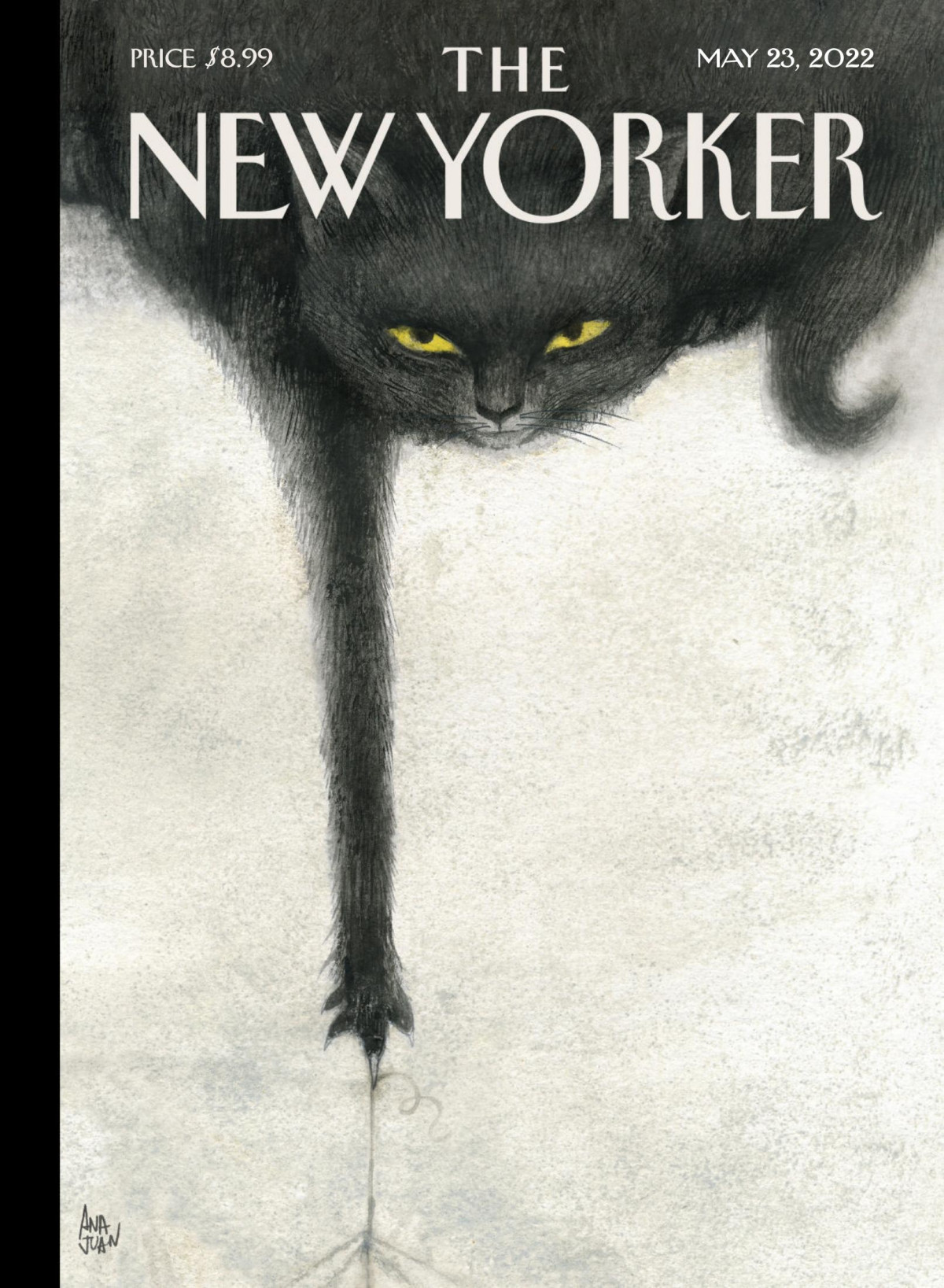 The New Yorker 23rd May 2022 David Remnick Editor In Chief