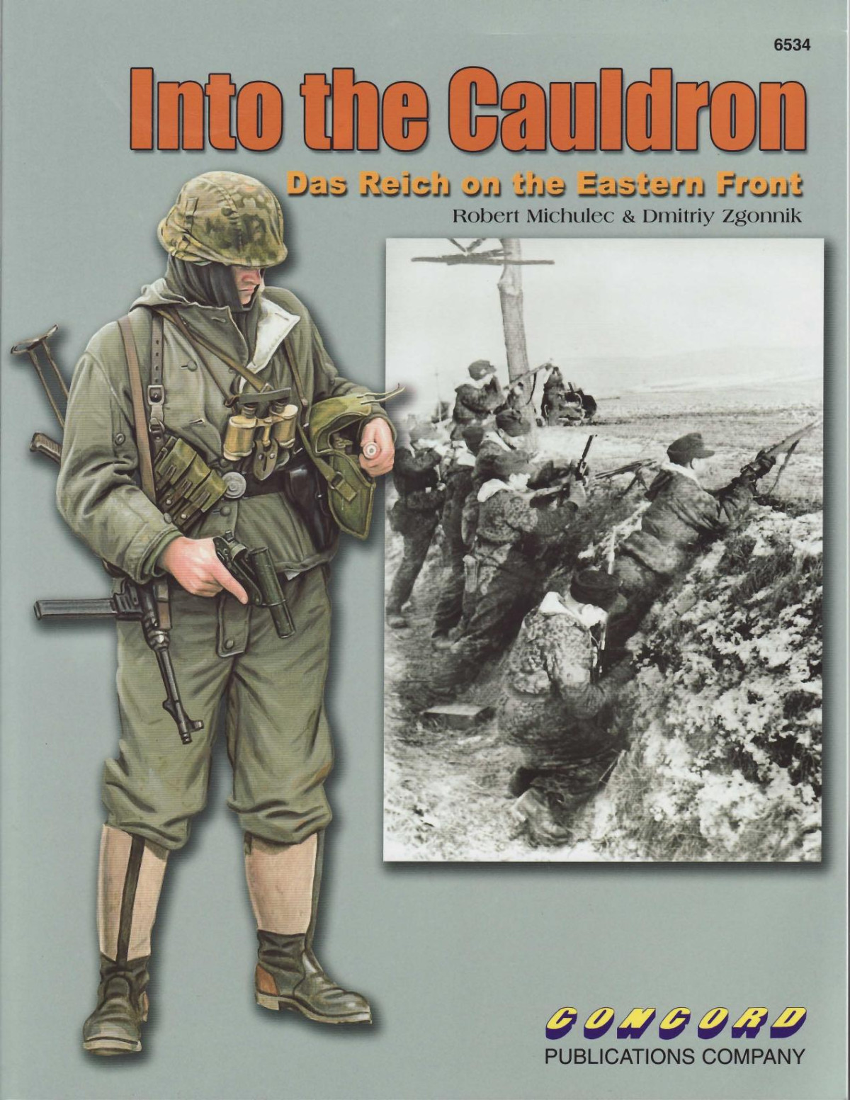Into The Cauldron Das Reich On The Eastern Front 1st Edition Robert Michulec
