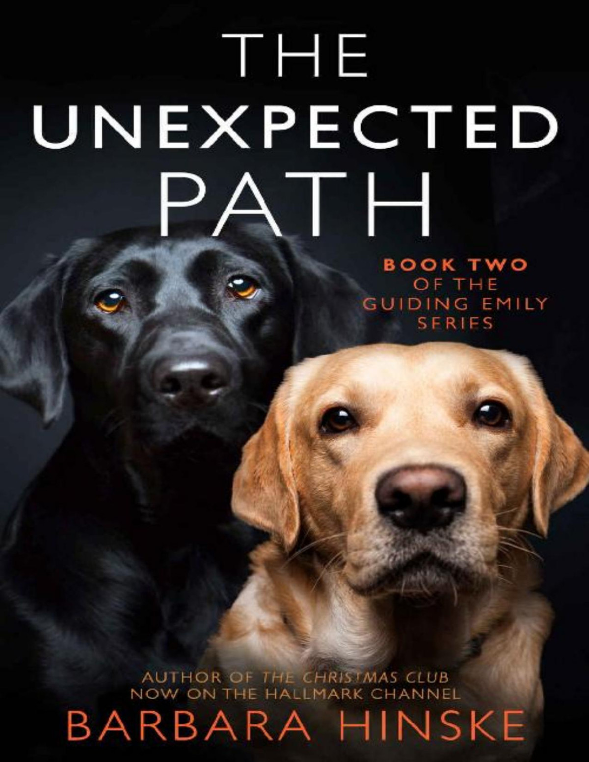 The Unexpected Path Guiding Emily 02 Barbara Hinske