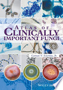 Atlas Of Clinically Important Fungi Carmen Sciortino