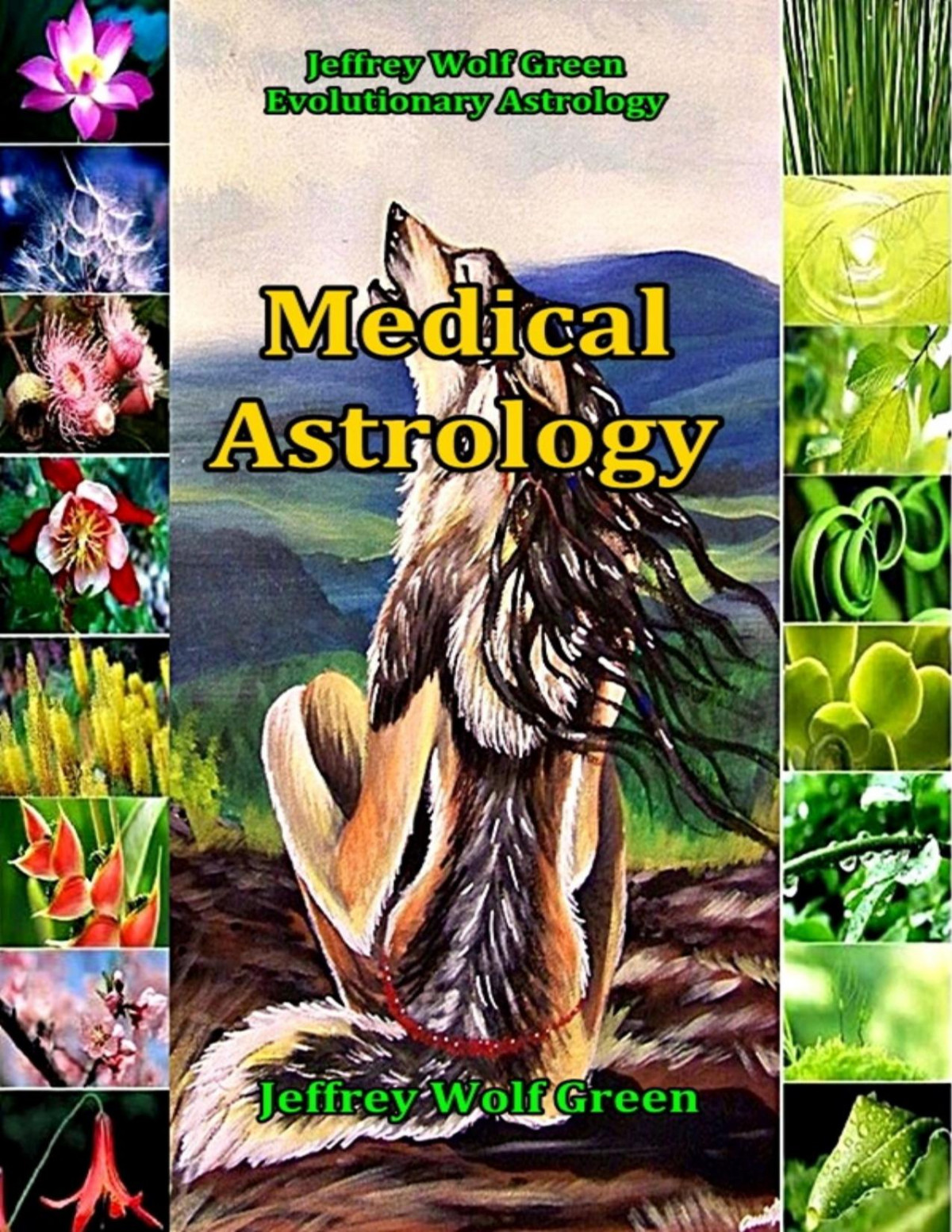 Medical Astrology Jeffrey Wolf Green