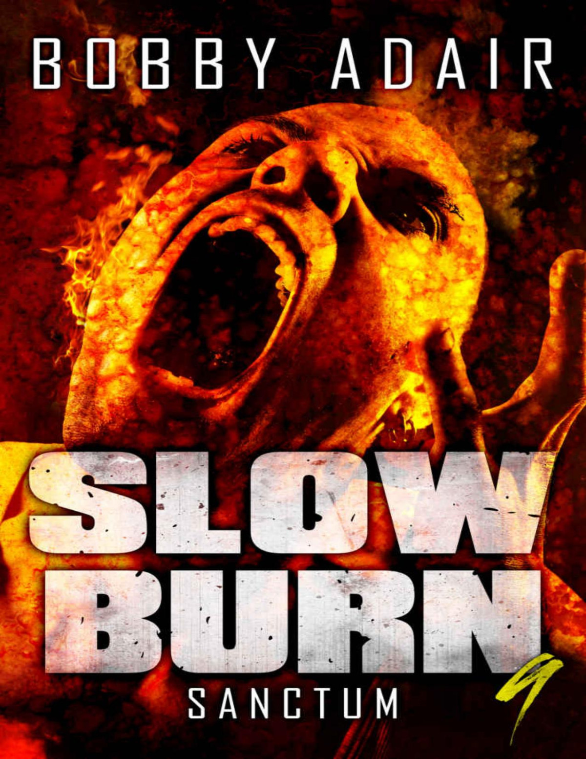 Slow Burn Sanctum Book 9 Bobby Adair