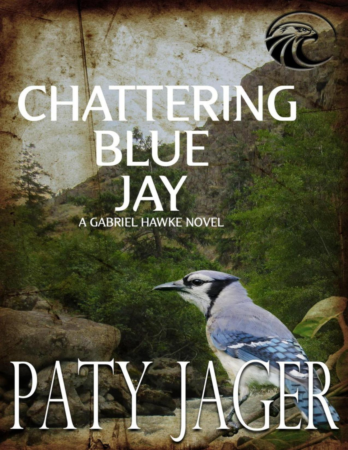 Chattering Blue Jay Paty Jager