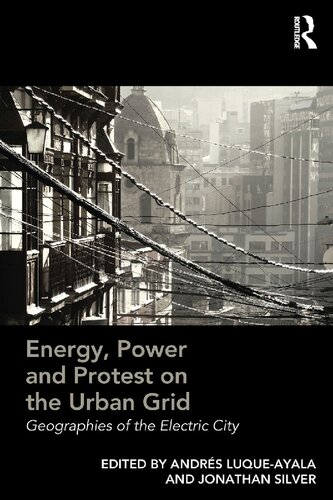 Energy Power And Protest On The Urban Grid Geographies Of The Electric City 1st Edition Andrs Luqueayala