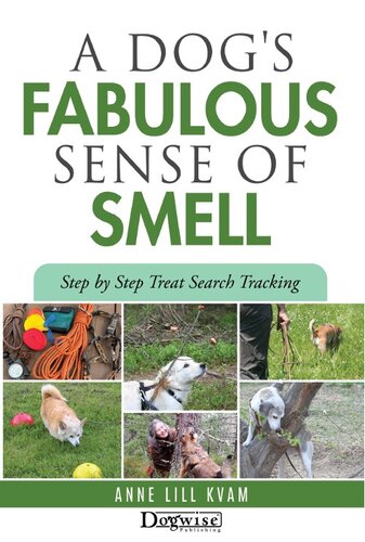 A Dogs Fabulous Sense Of Smell Anne Lill Kvam