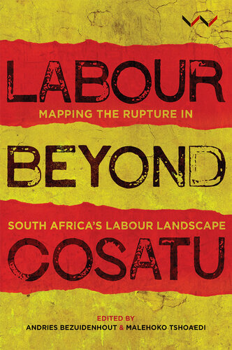 Labour Beyond Cosatu Mapping The Rupture In South Africas Labour Landscape Andries Bezuidenhout Malehoko Tshoaedi Christine Bischoff