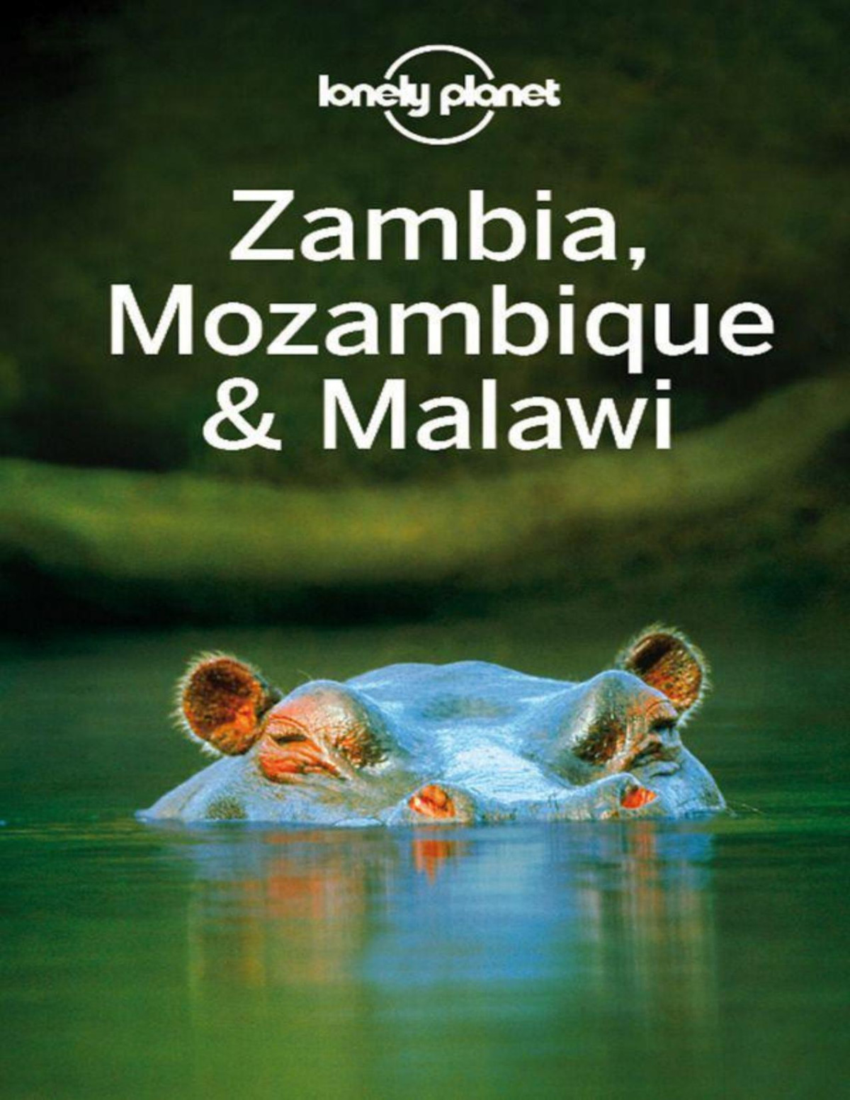 Zambia Mozambique And Malawi 2nd Edition Mary Fitzpatrick Michael Grosberg