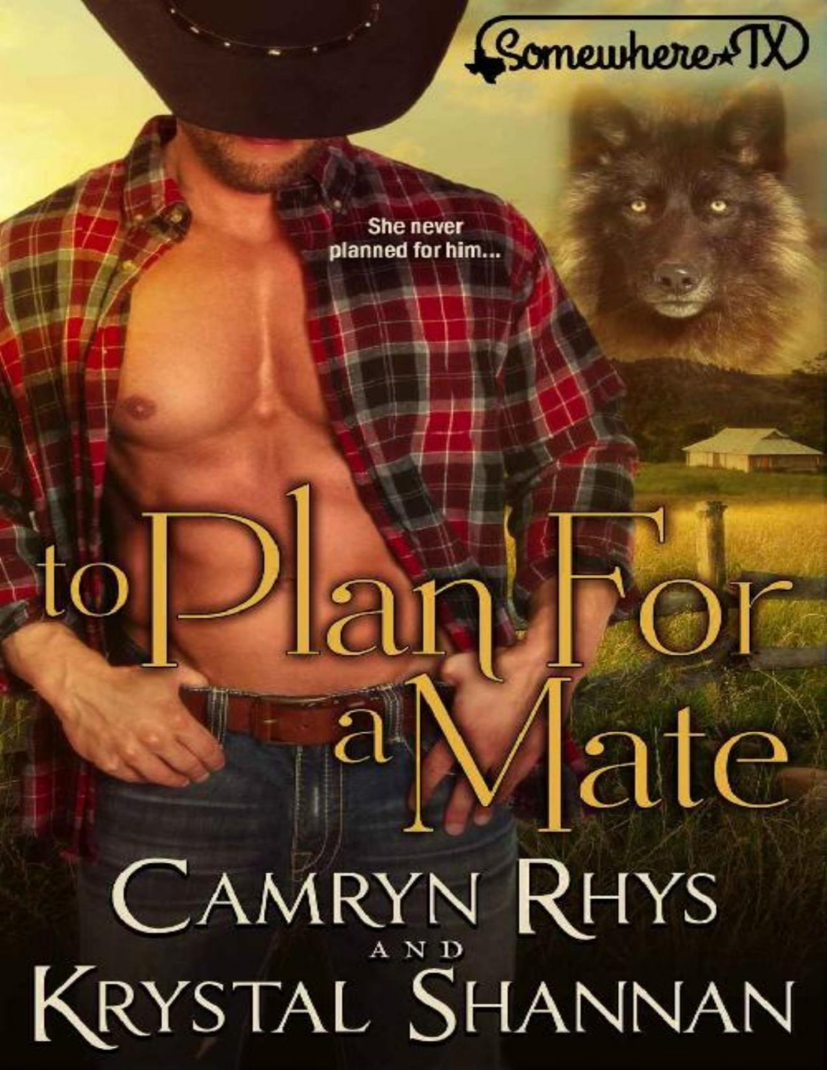 To Plan For A Mate Somewhere Tx Vonbrandt Wolf Pack Book 6 Krystal Shannan
