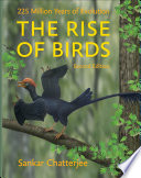 The Rise Of Birds Sankar Chatterjee