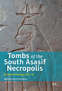 Tombs Of The South Asasif Necropolis Art And Archaeology 20152018 Elena Pischikova