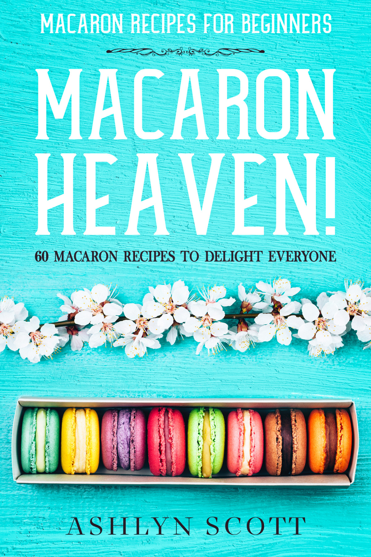 Macarons Recipe For Beginners Macaron Heaven 1st Edition Ashlyn Scott