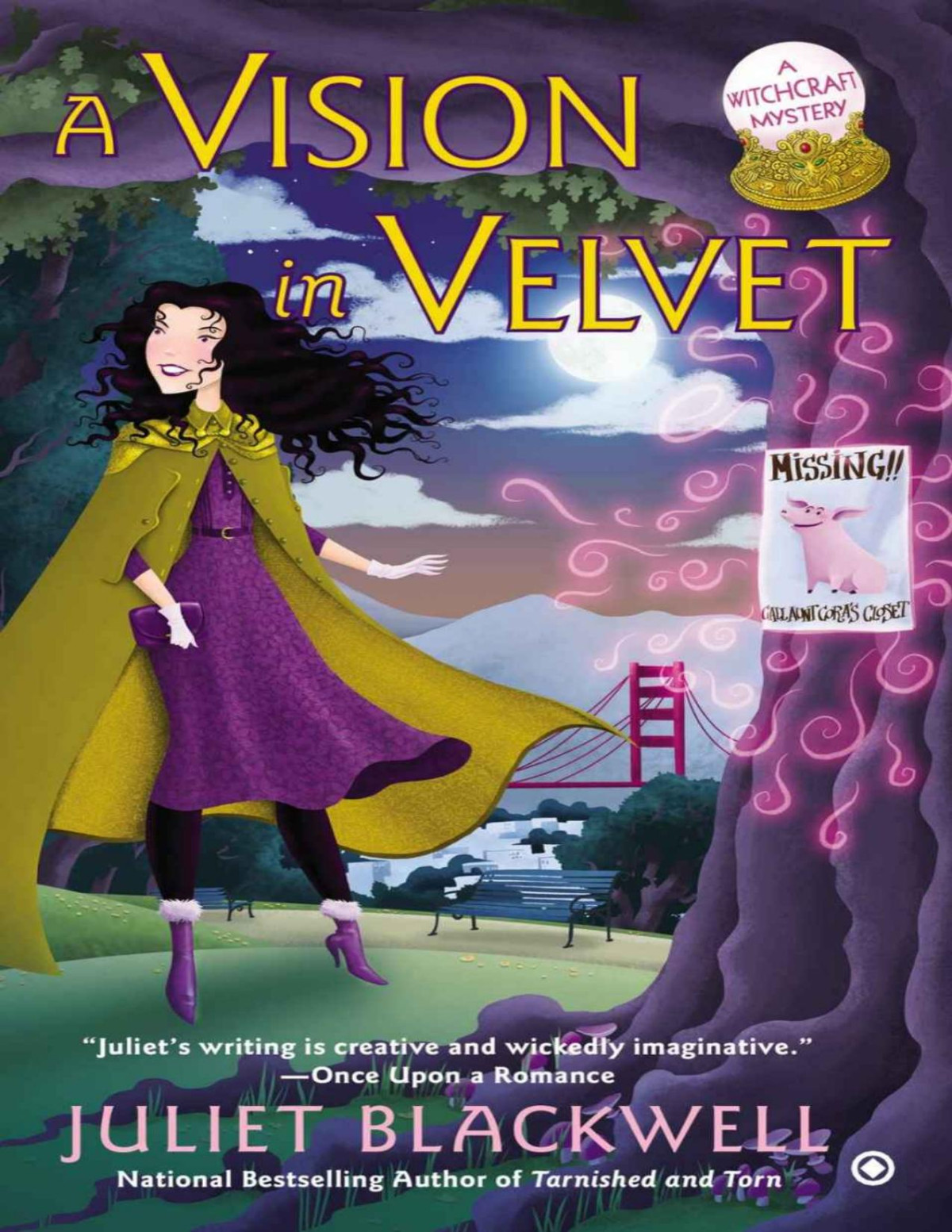 Witchcraft 06 A Vision In Velvet Juliet Blackwell