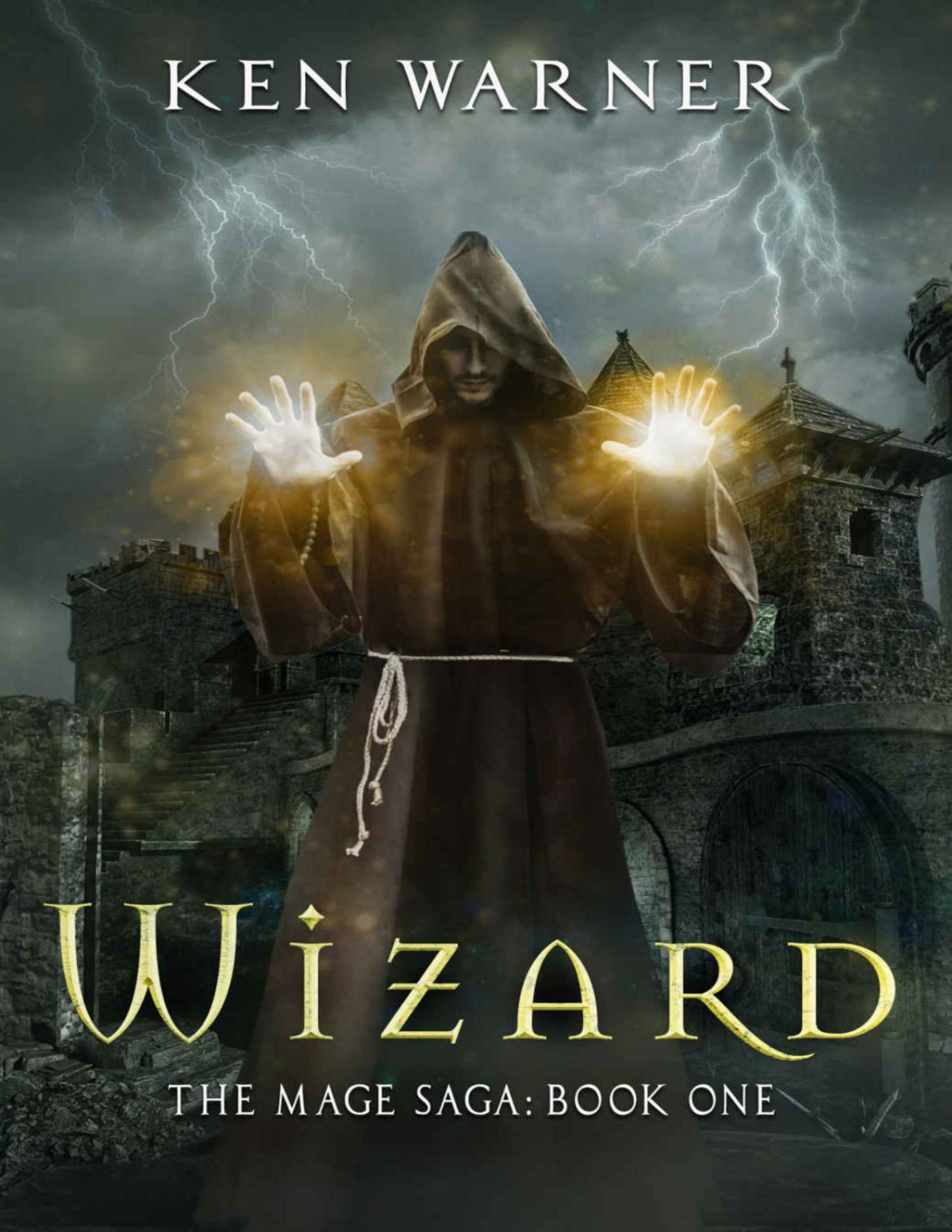 Wizard The Mage Saga Book 1 Ken Warner