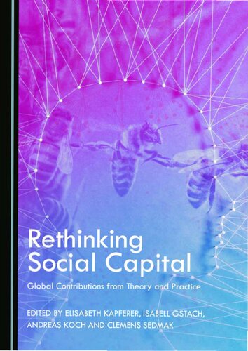 Rethinking Social Capital 1st Edition Lizabeth Kapferer