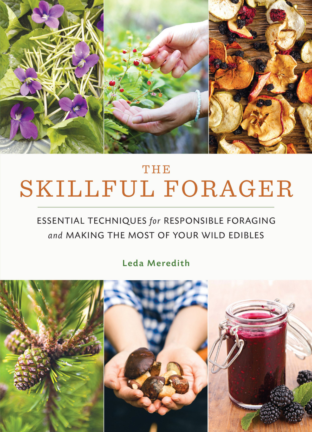 The Skillful Forager Leda Meredith