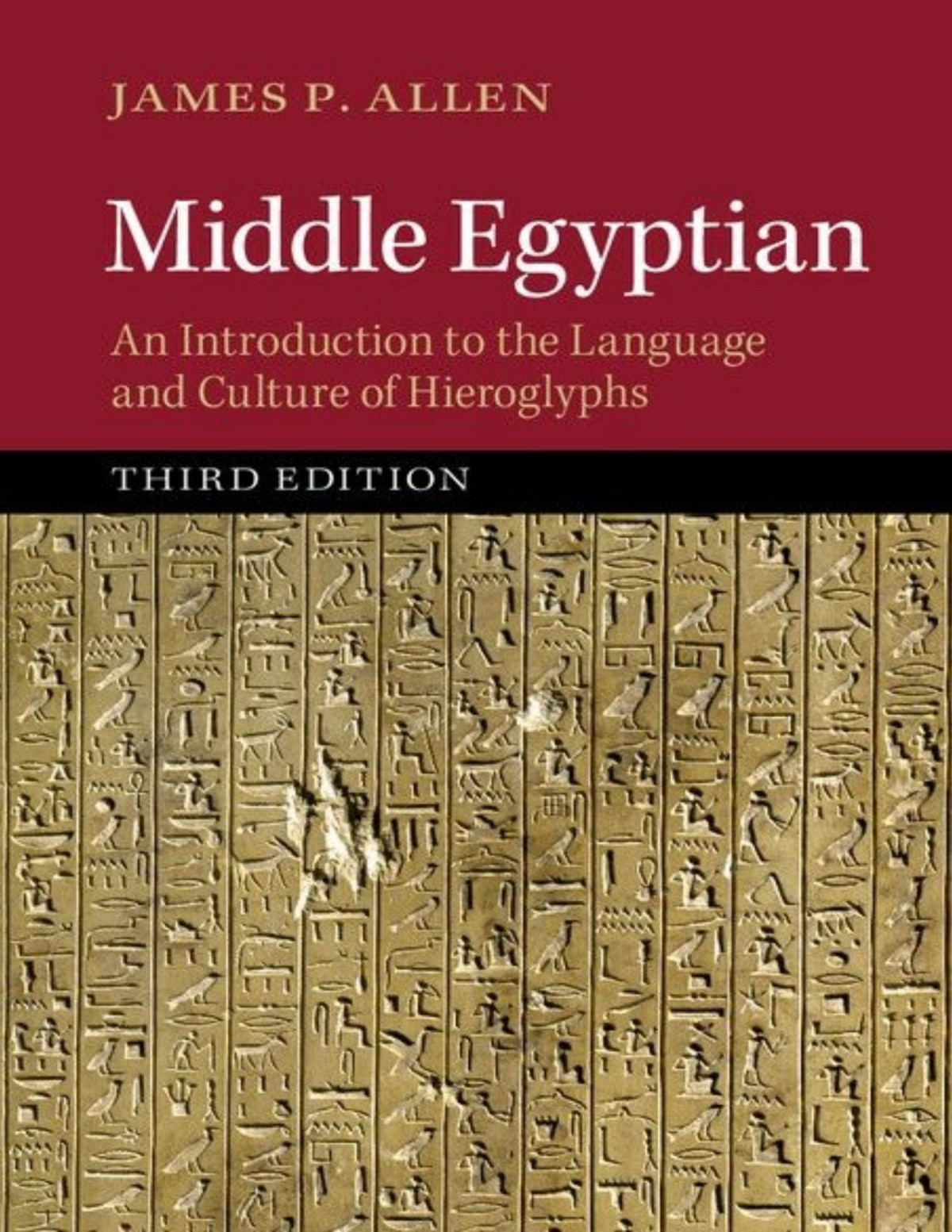 Middle Egyptian An Introduction To The Language And Culture Of Hieroglyphs James P Allen