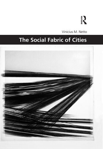 The Social Fabric Of Cities Vinicius M Netto