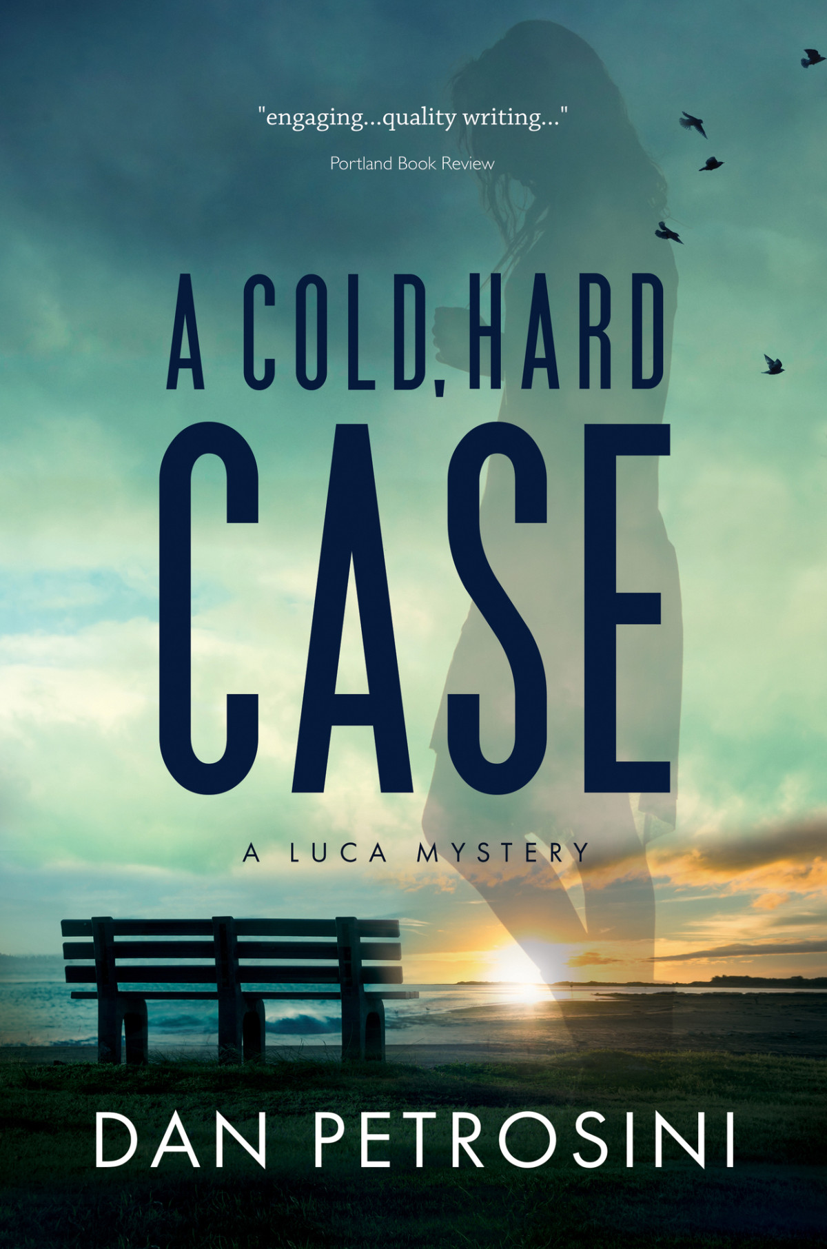 A Cold Hard Case Dan Petrosini