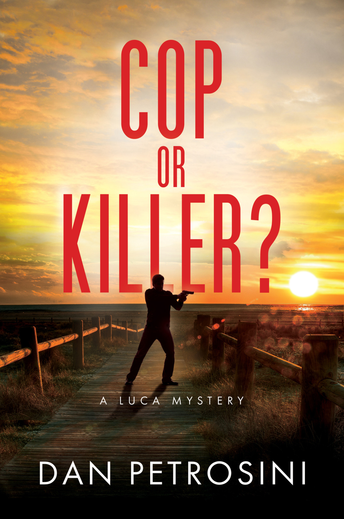 Cop Or Killer Dan Petrosini