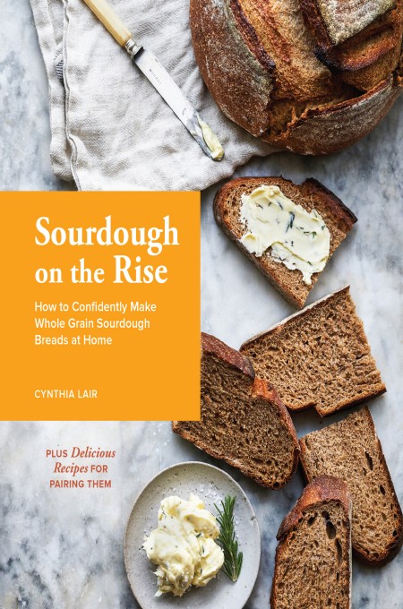 Sourdough On The Rise Cynthia Lair