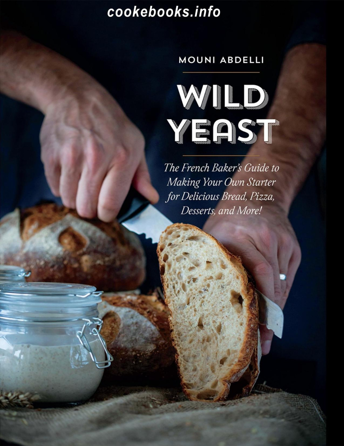 Wild Yeast The French Breadmakers Guide To Making Your Own Starter For Delicious Artisanal Bread Pizza Desserts And More Mouni Abdeli