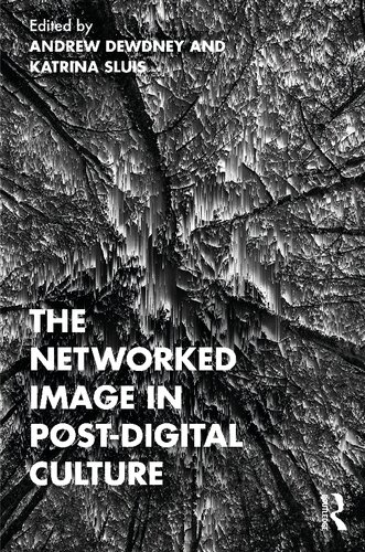 The Networked Image In Postdigital Culture Andrew Dewdney Katrina Sluis