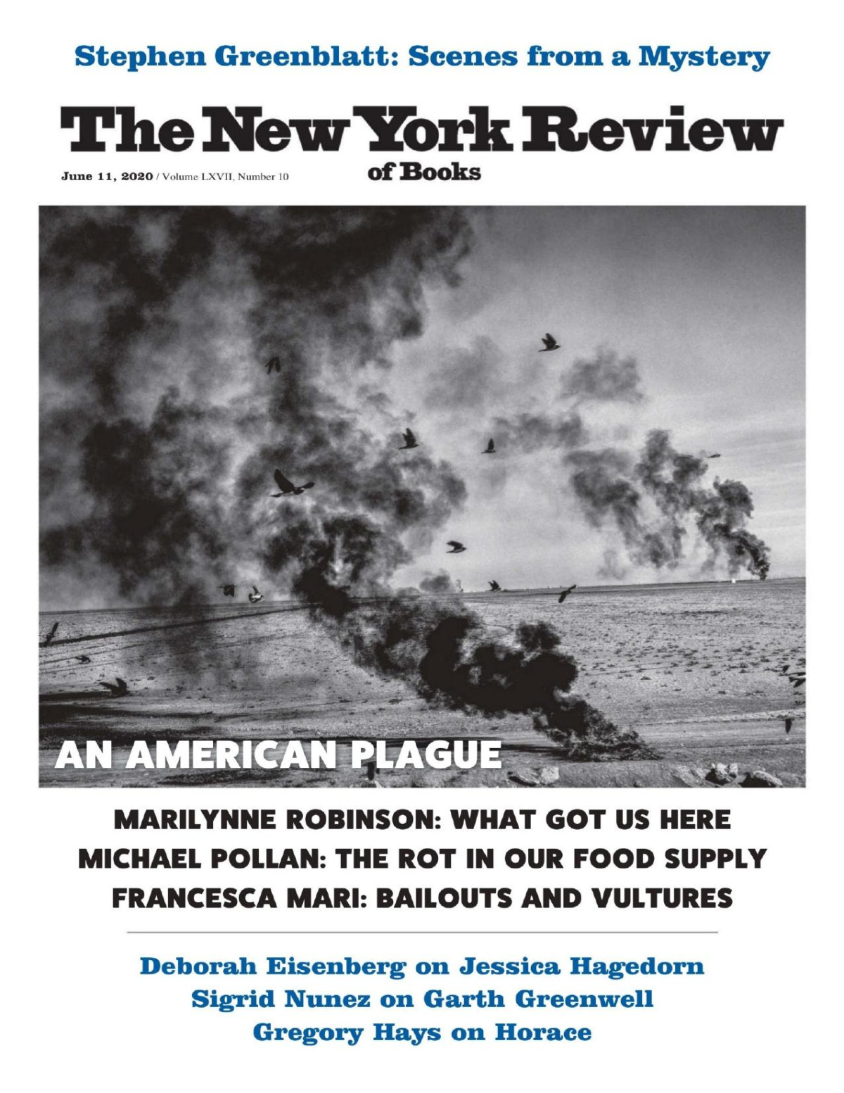 The New York Review Of Books Vol Lxvii 10 11th June 2020 Emily Greenhouse Editor In Chief