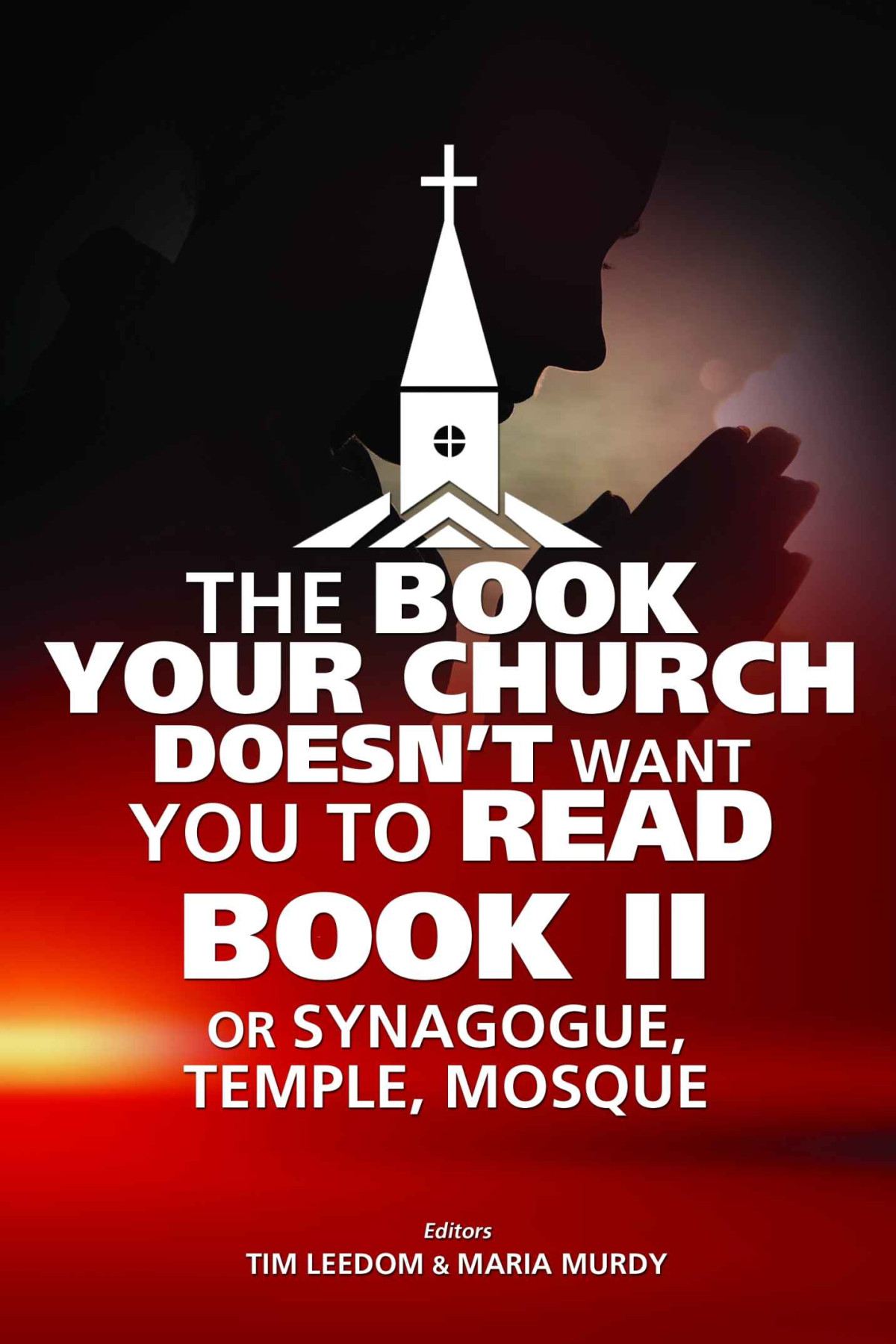 The Book Your Church Doesnt Want You To Read Book Ii Or Synagogue Temple Mosque Leedom