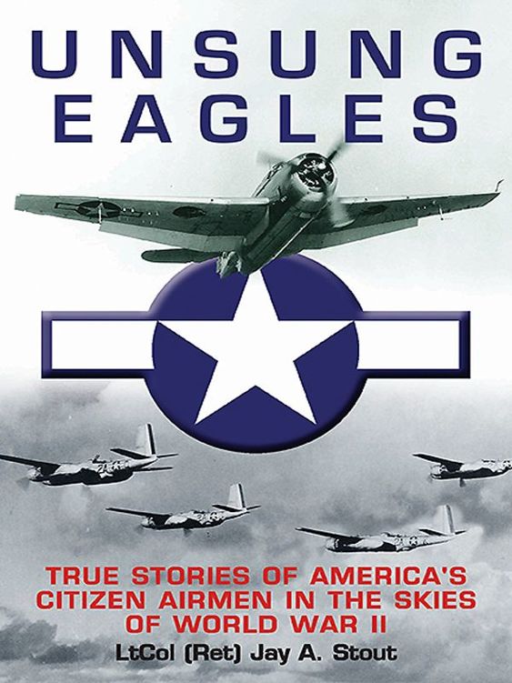 Unsung Eagles True Stories Of Americas Citizen Airmen In The Skies Of World War Ii Stout
