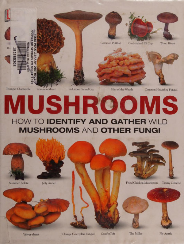 Mushrooms How To Identify And Gather Wild Mushrooms And Other Fungi Dk