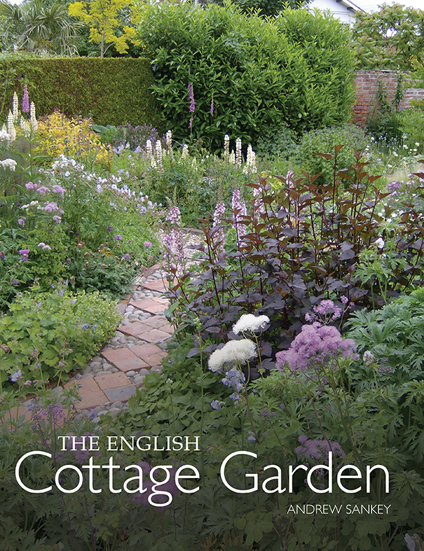The English Cottage Garden Andrew Sankey