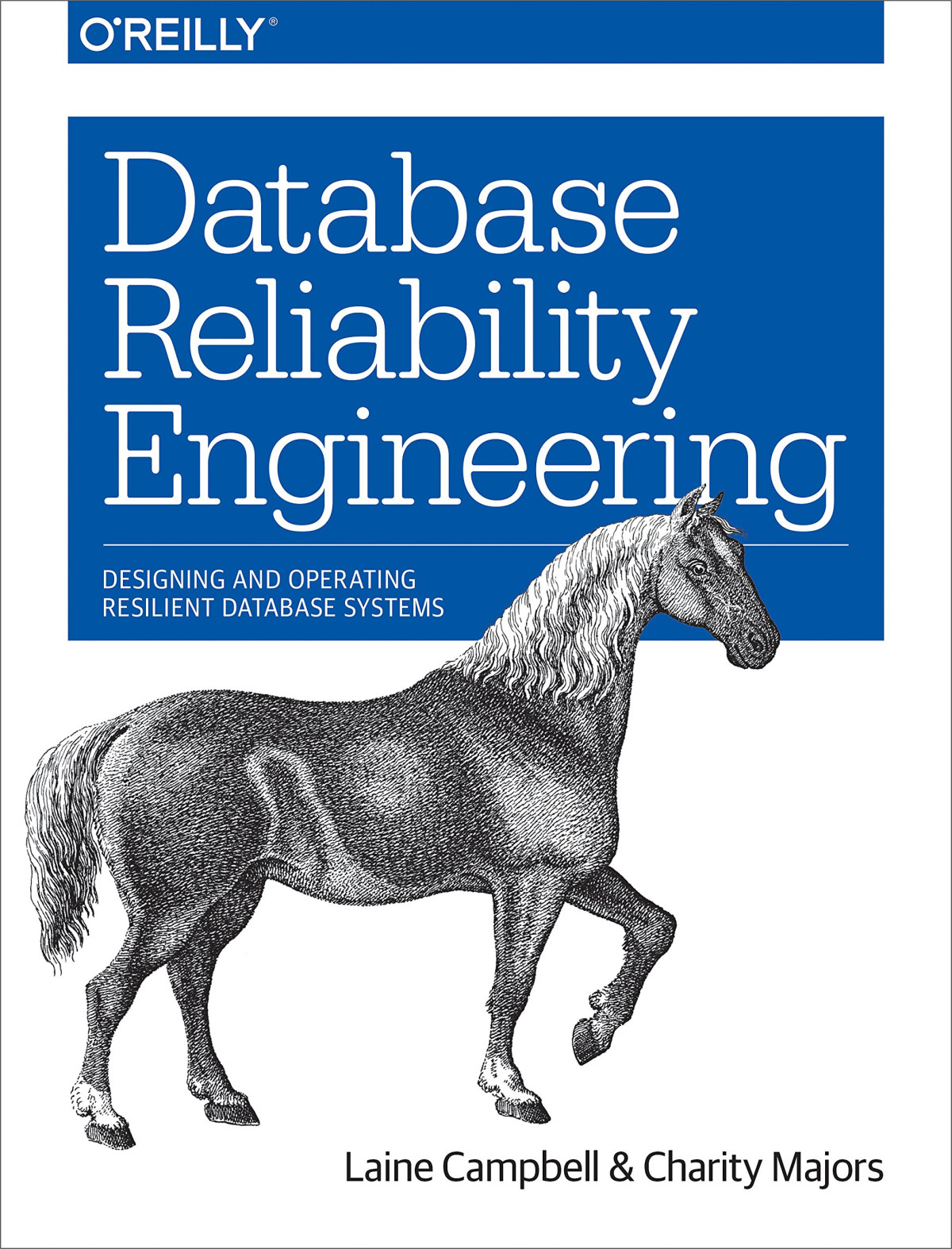 Database Reliability Engineering Designing And Operating Resilient Database Systems Laine Campbell