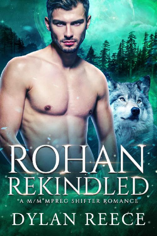 Rohan Rekindled A Mm Mpreg Shifter Romance Darlington Pack Series Book 3 Dylan Reece