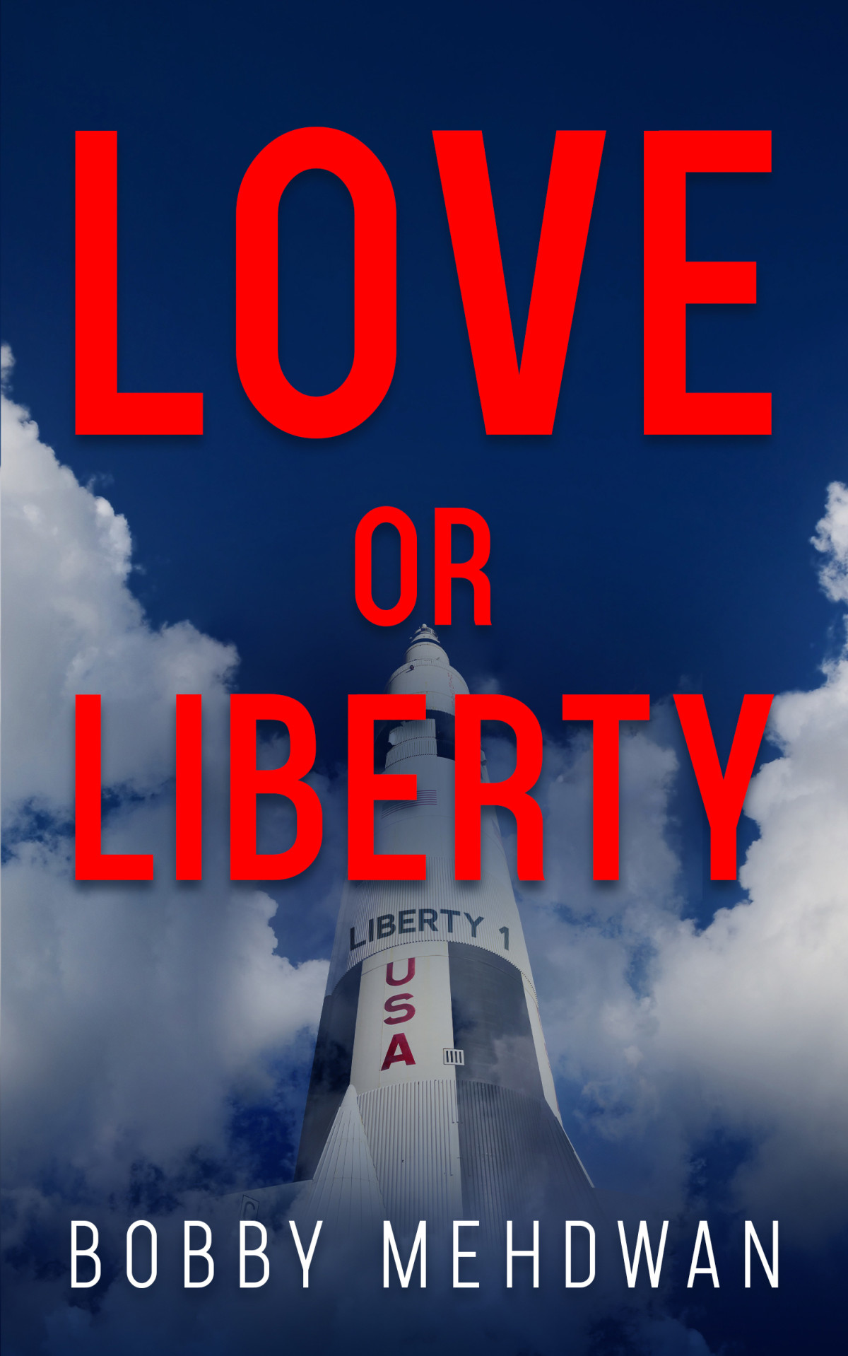 Love Or Liberty Bobby Mehdwan