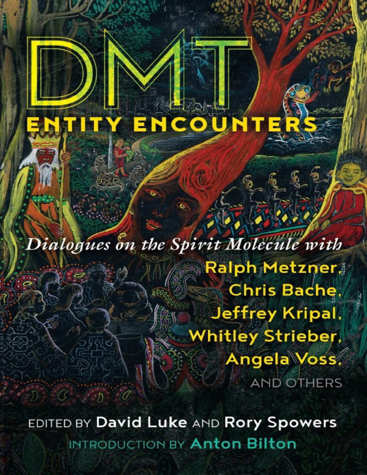 Dmt Entity Encounters David Luke Rory Spowers