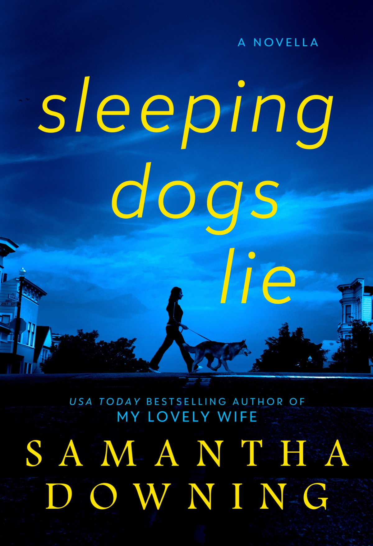 Sleeping Dogs Lie Samantha Downing