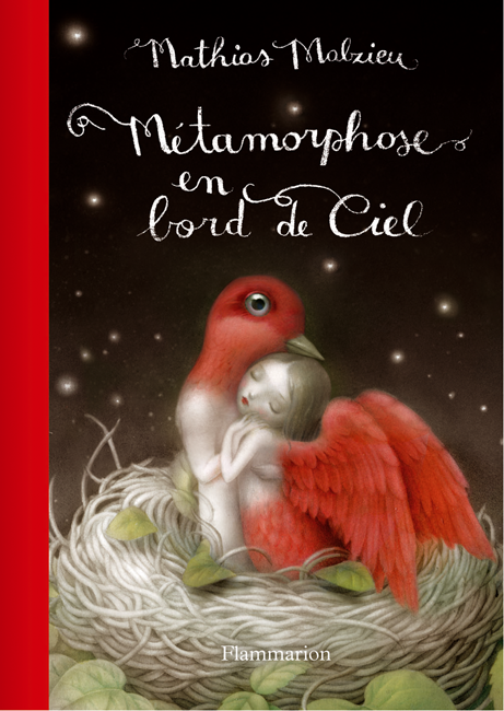 Métamorphose En Bord De Ciel Edition De Luxe Mathias Malzieu
